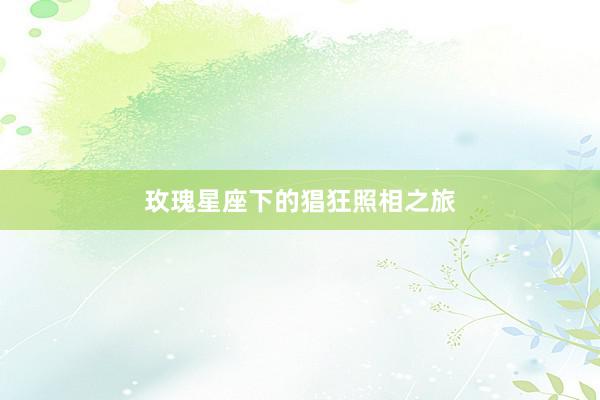 玫瑰星座下的猖狂照相之旅